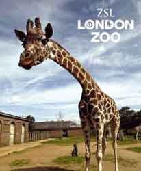 London Guide to Outer London Things To Do