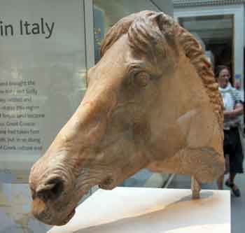 Greek Horse at the british museum