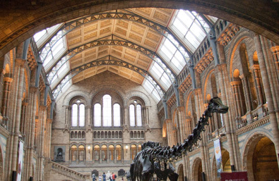 Natural History Museum London Main Hall