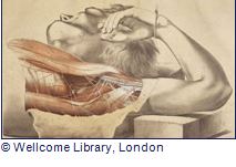 doctors, dissection and ressurection men exhibition at the London Museum