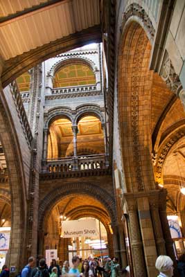 museum natural history main hall