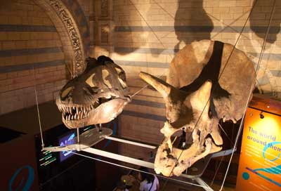 natural history museum dinosaurs
