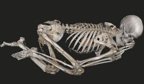 Virtual Autopsy British Museum
